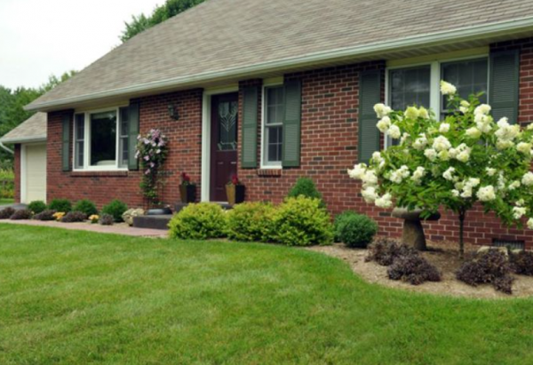 Taman depan rumah dengan batu bata dan pohon kecil